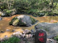 -茅兰沟国家森林公园