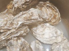 -杨氏青龙虾·羊蝎子(托乐嘉店)