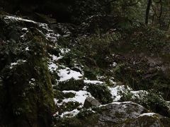 -西岭雪山大飞水景区