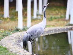 -艾溪湖湿地公园