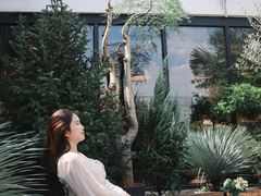 -自由生长植物工作室(深港花卉中心店)