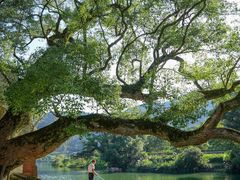 -杭州植物园