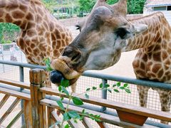 -泉州海丝野生动物世界