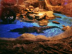 -多彩贵州城极地海洋世界