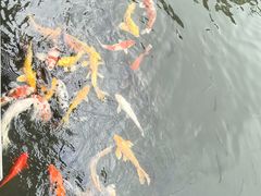 -杭州西湖柳莺里酒店·闻莺厅