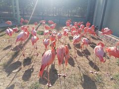 -秦皇岛野生动物园