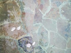 -中家鑫园温泉酒店鑫悦汤泉