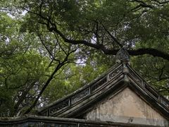 -绮园景区