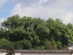 -天一阁博物院