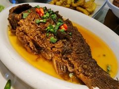 软骨-老长春肉馆(创业大街店)