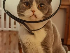 -Catmate·猫肥家润(金润铂宫店)