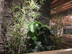-九田家黑牛烤肉料理(太阳城店)
