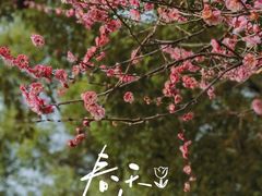 -东湖生态旅游风景区