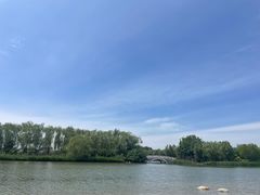 -大兴滨河森林公园