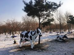 -长春公园(普阳街道)