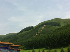 门面-塞罕坝国家级自然保护区