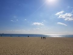 -海云台海滩