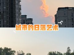 -新江湾城公园
