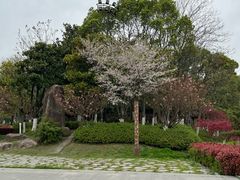 -观潮胜地公园