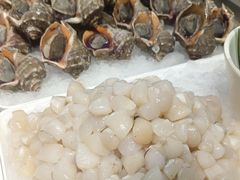 -天天鱼港·海鲜·鲅鱼水饺·招牌烤鸭(黄骅店)
