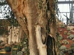 -南通洲际绿博园