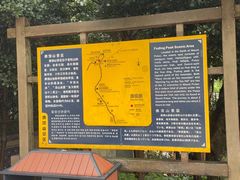 -普陀山风景区-佛顶山