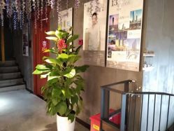 -Cocodemer 产后恢复中心(多伦路店)