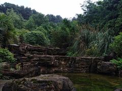 -铁山坪森林公园