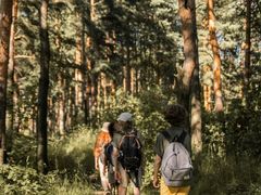 -铁山坪森林公园