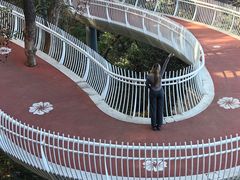 -金鸡山公园