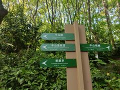 -杭州半山国家森林公园