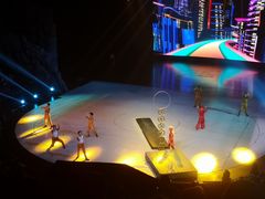 -重庆国际马戏城
