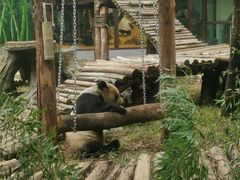 -南昌动物园
