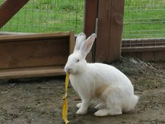 -钟永庆水饺(红星路南延线一段)