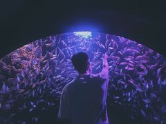 -成都浩海立方海洋公园