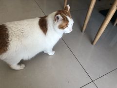 -平行世界·猫咖(首经贸店)