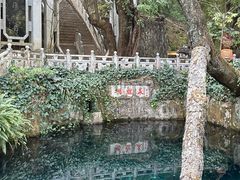 -蝴蝶泉公园