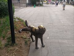 -中粮·祥云小镇