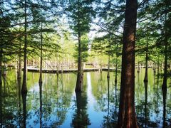 -泗洪洪泽湖湿地景区