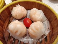 -潮江春(阳光店)