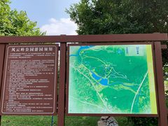 -风云岭森林公园