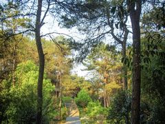 -铁山坪森林公园