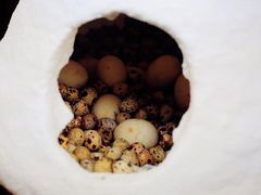 -高淳老街土菜馆(迎薰门店)