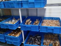 -来噻布布 Lets BUBU