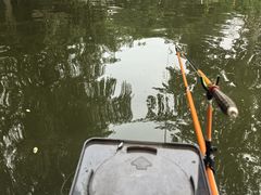 -酷鱼垂钓CLUB(朝阳区博大路店 )