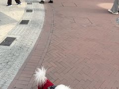 -京津佛罗伦萨小镇