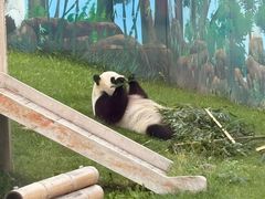 -鄂尔多斯野生动物园