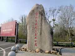 -合肥滨湖国家森林公园