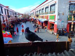 -玛吉阿米·餐吧