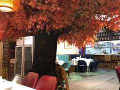 大堂-雲蜀龙阁·金牌水煮鱼(方庄店)